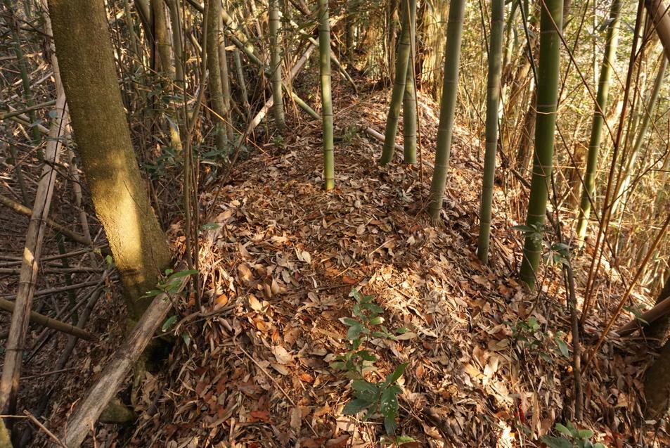 端谷城