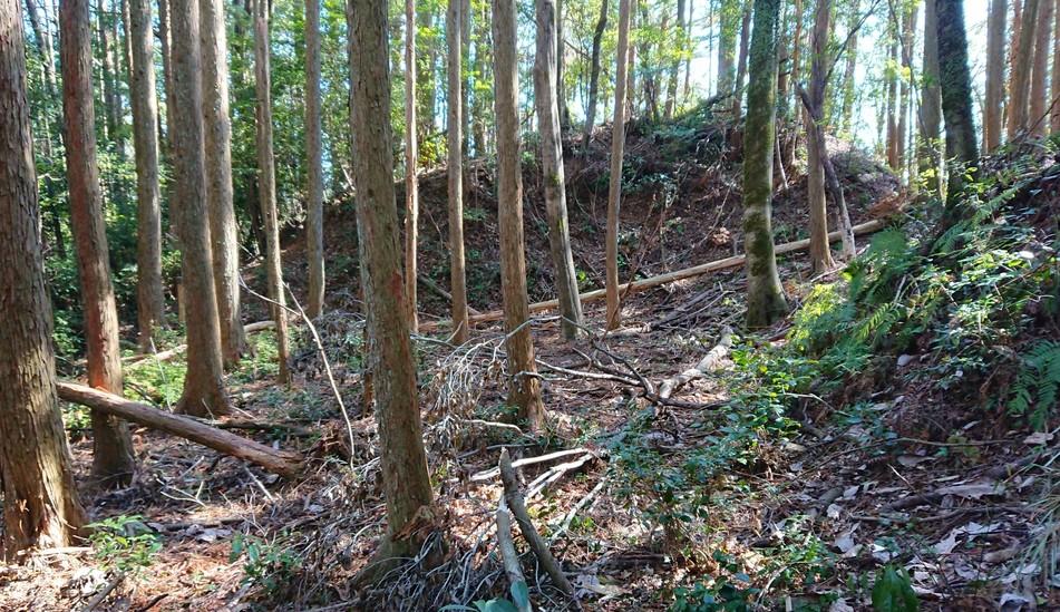 田峰城