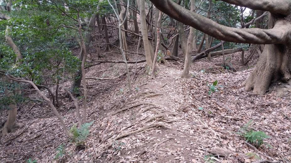 長野城