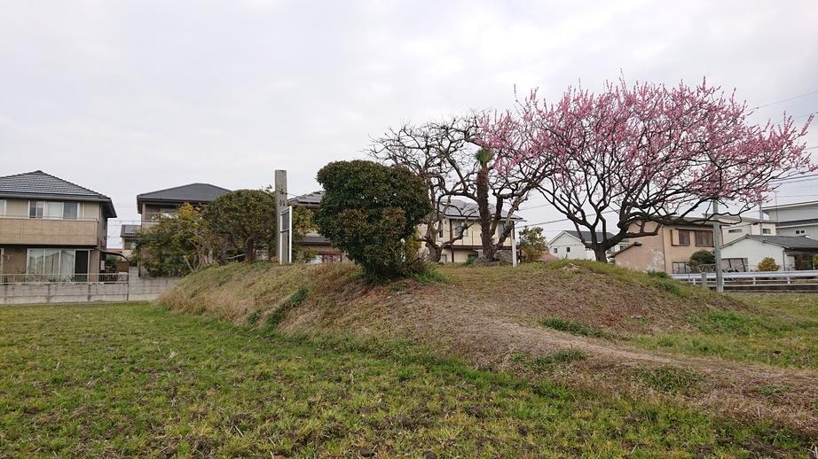 向城