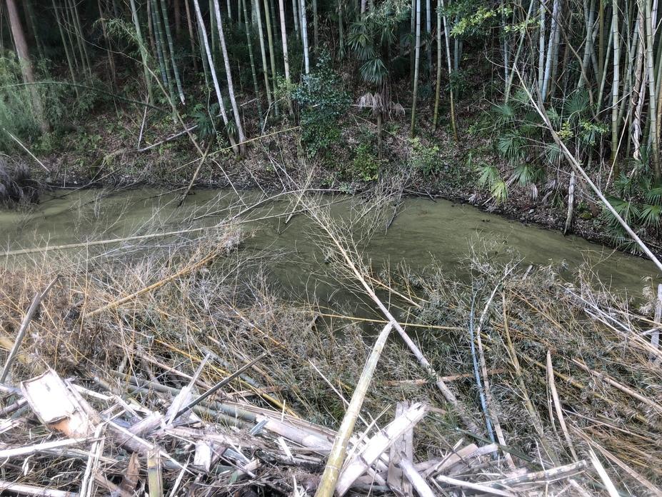 日野城