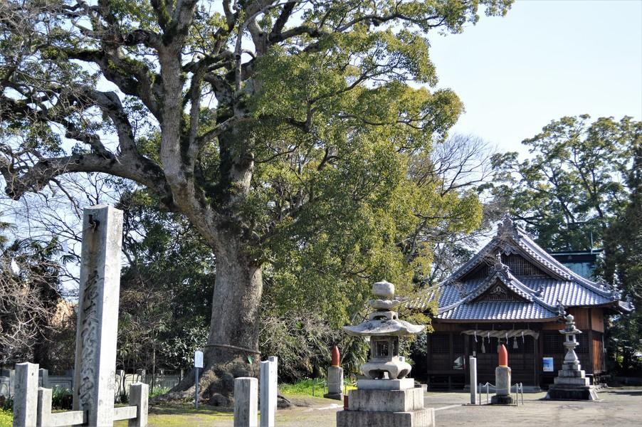 鷺ノ森城