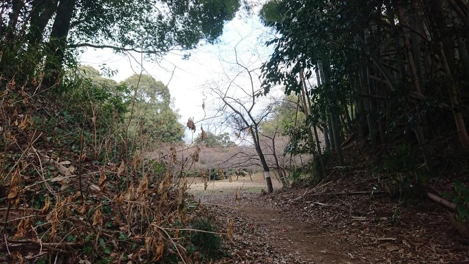 高井城