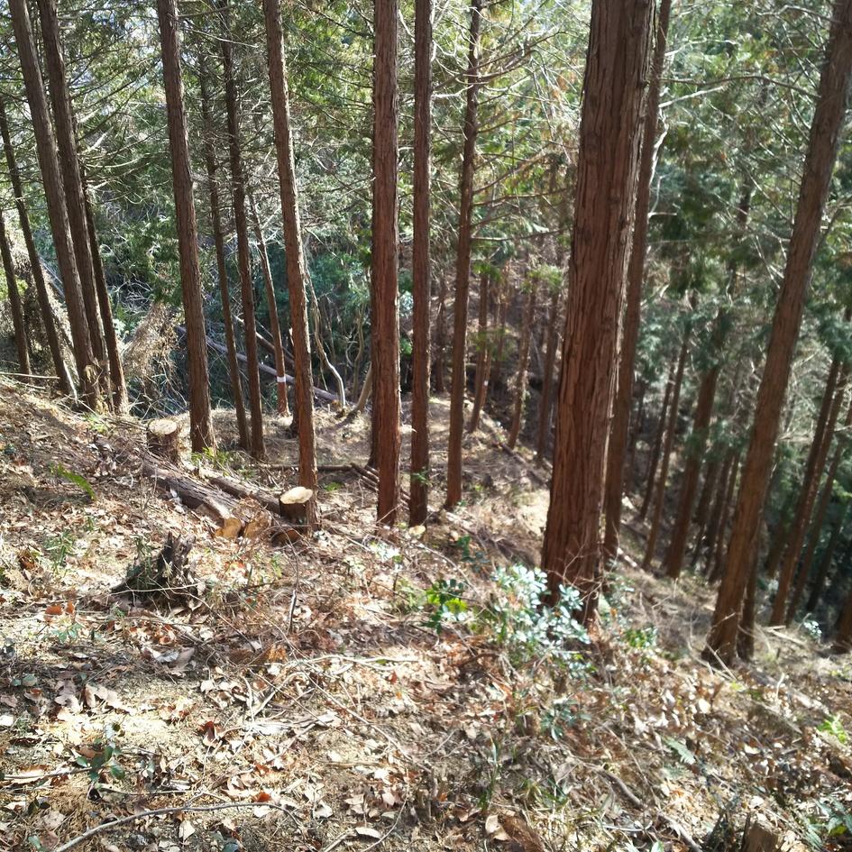 浄福寺城