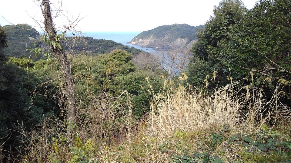 浜田城