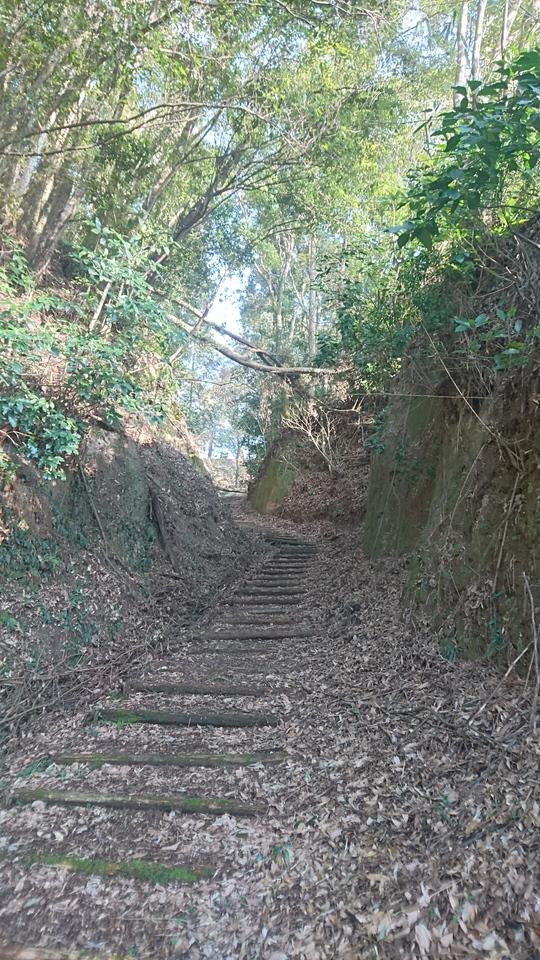 安永城