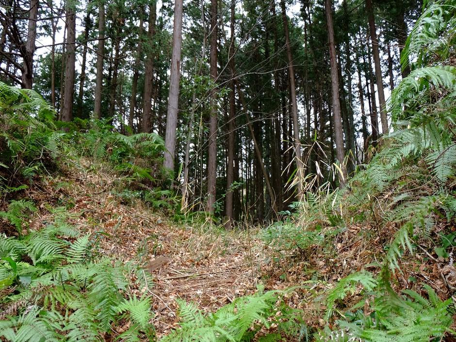 菊川城館