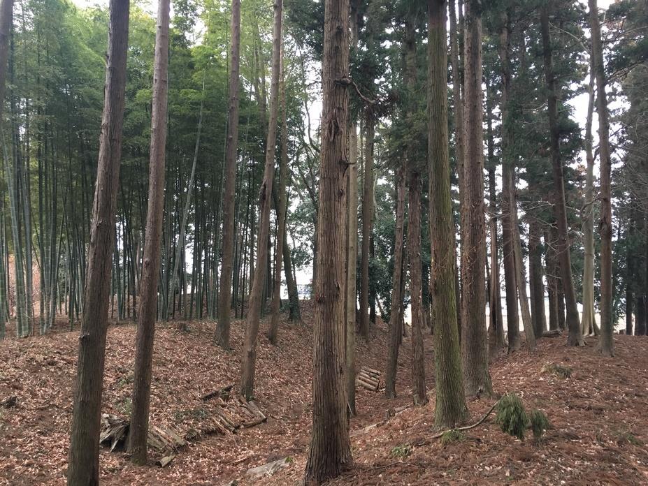 中村城