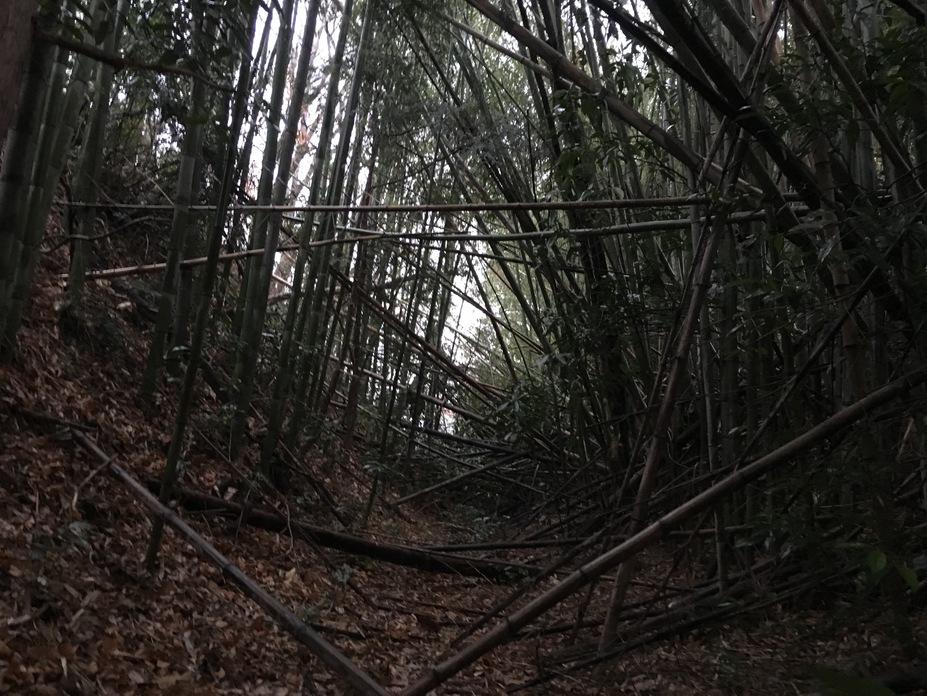 神田城