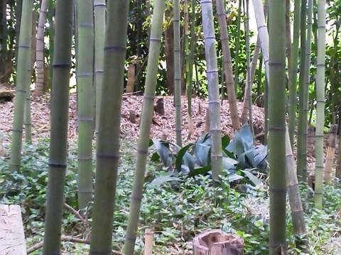 富貴城