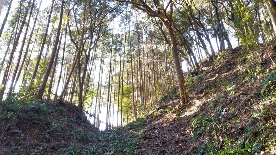 諏訪原城