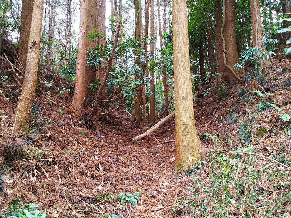 佐久山城