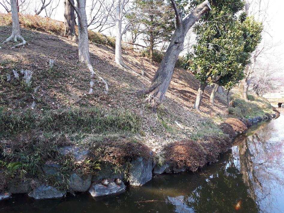 上三川城