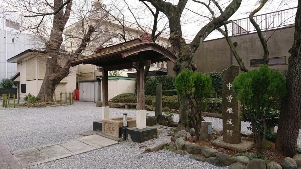 中曽根城