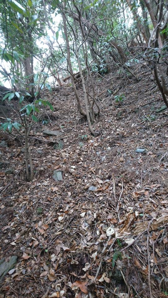 松尾城