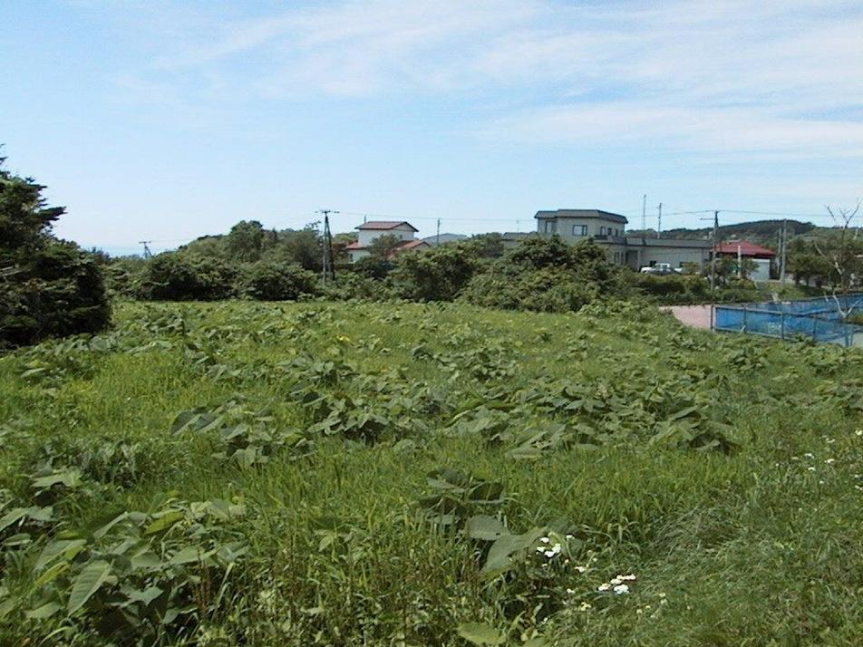 ショップチャシ