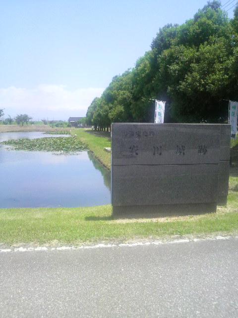 安田城