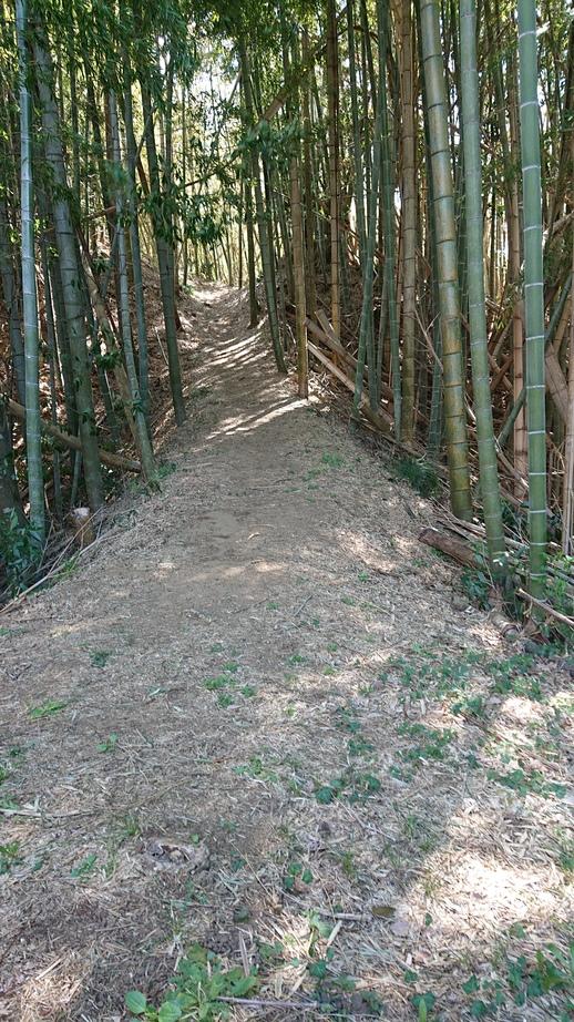 牛久城