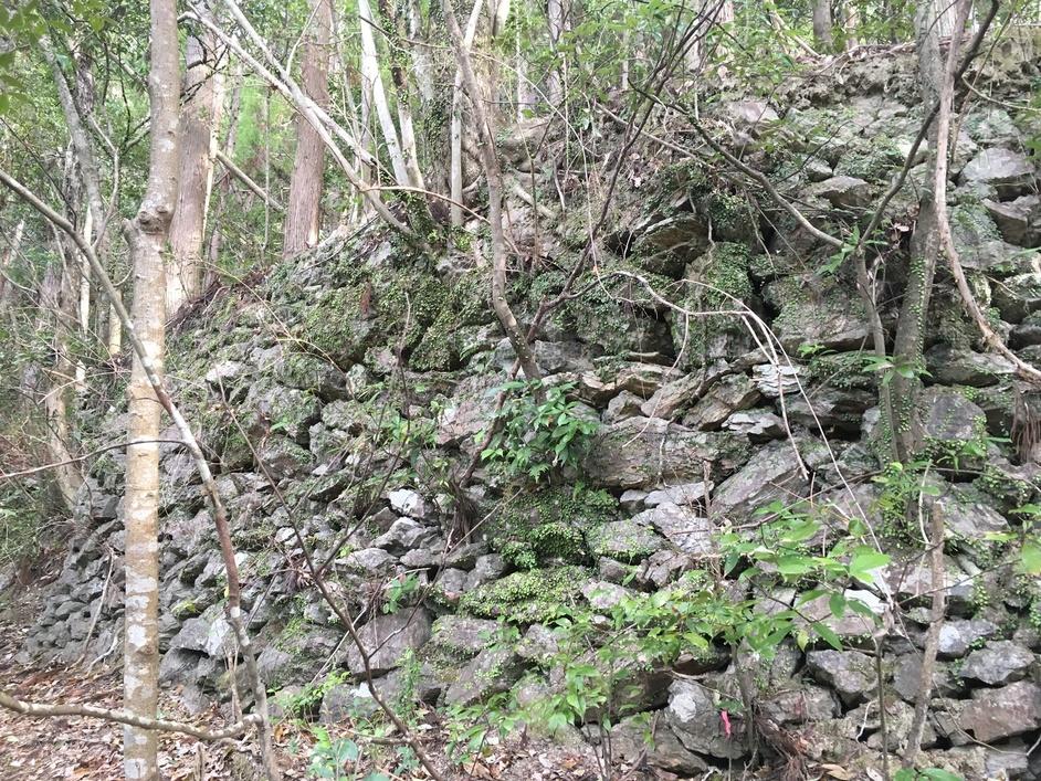 片岡城