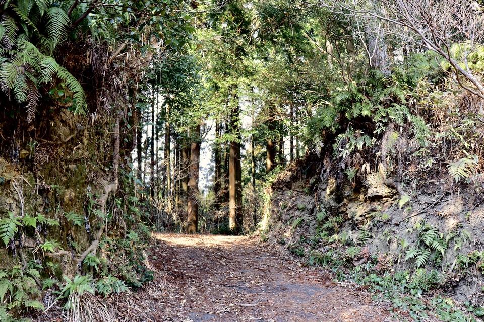 松尾城