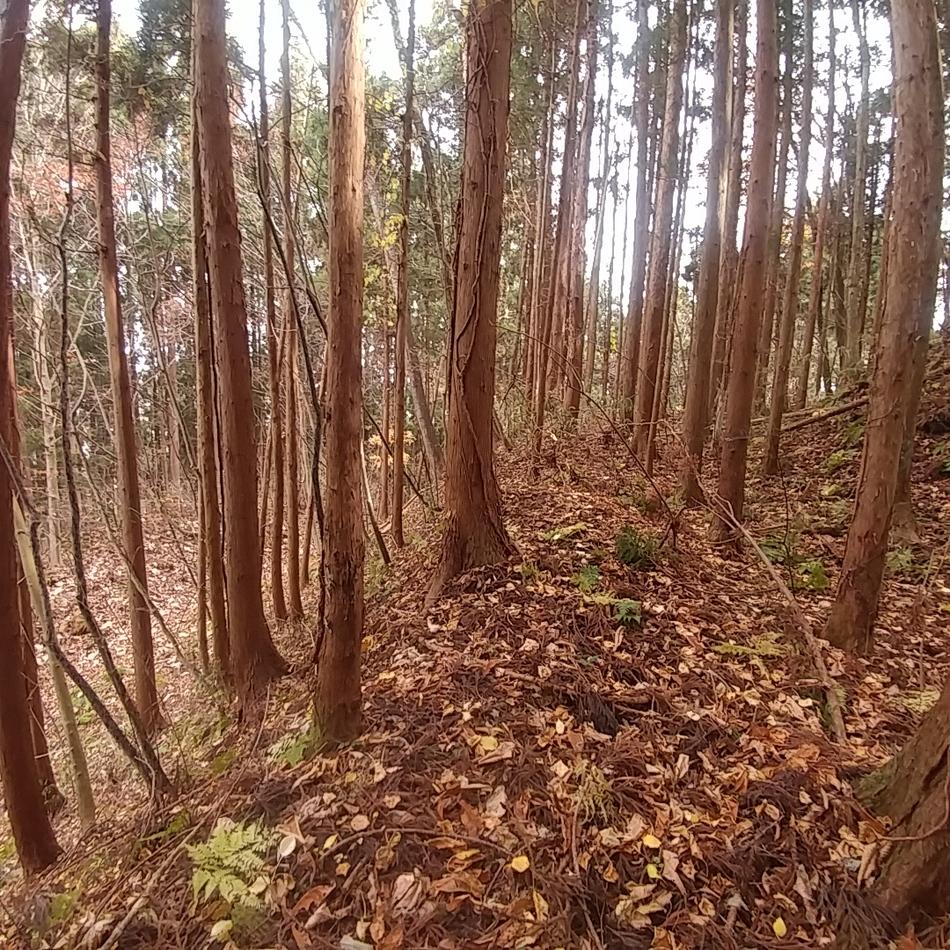 花山館