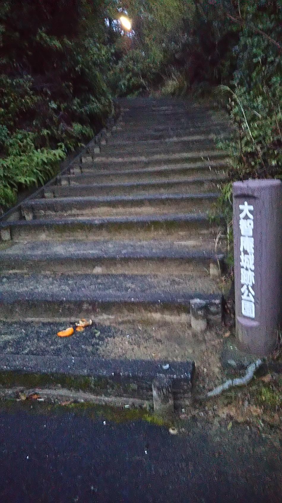 大智庵城