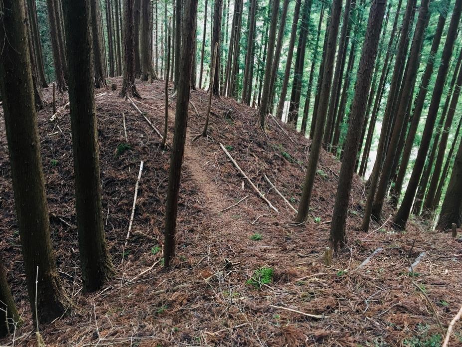 熊倉城