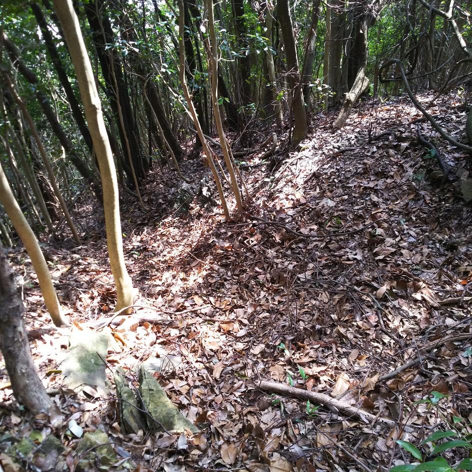 医王山城