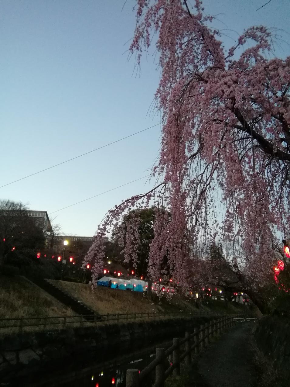 真岡城