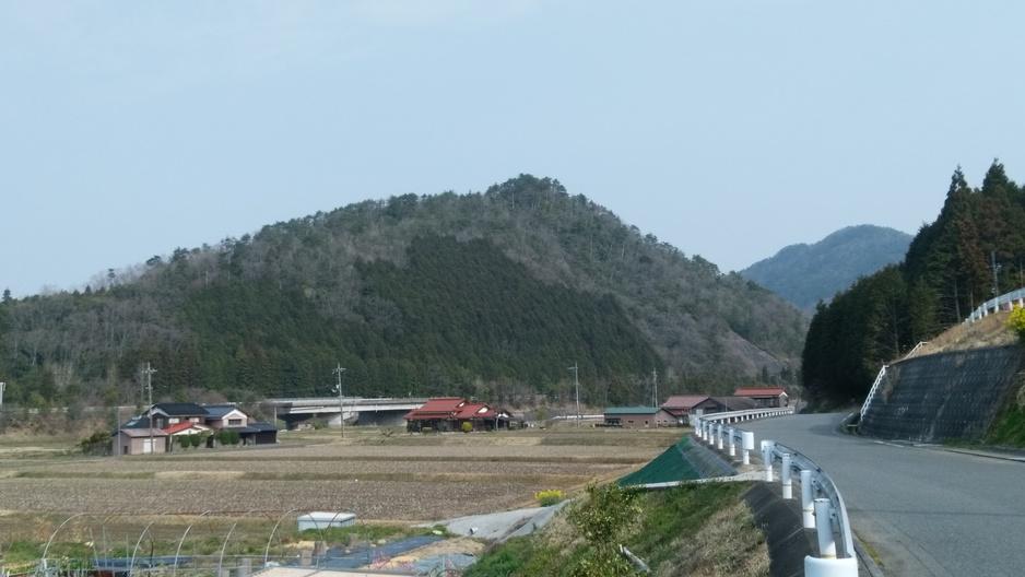 藤掛山城