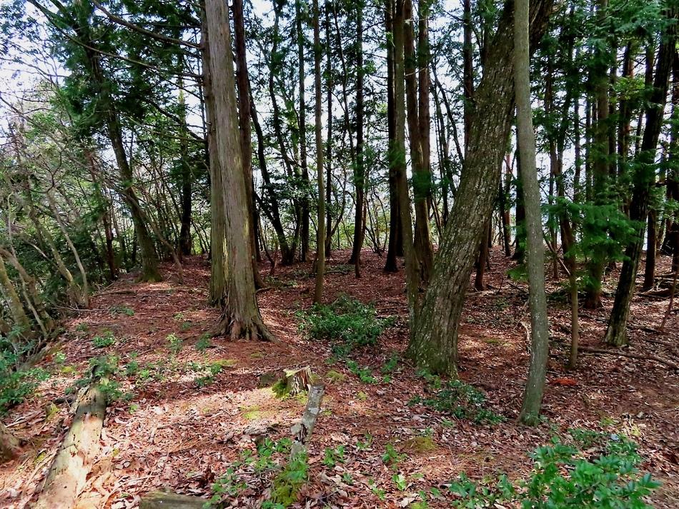 松尾城