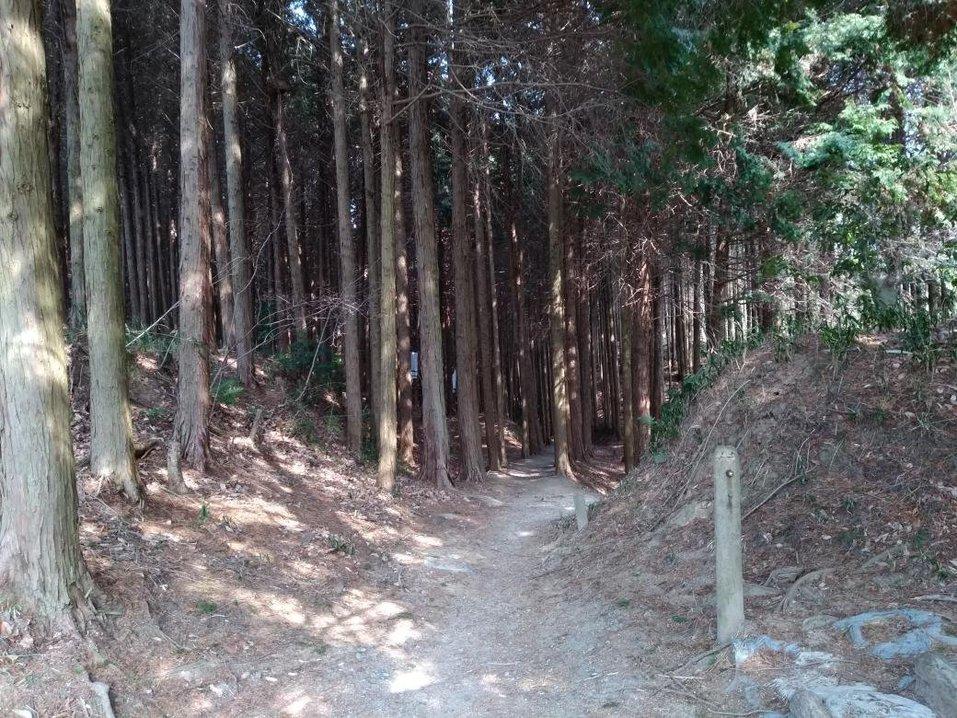 津田城