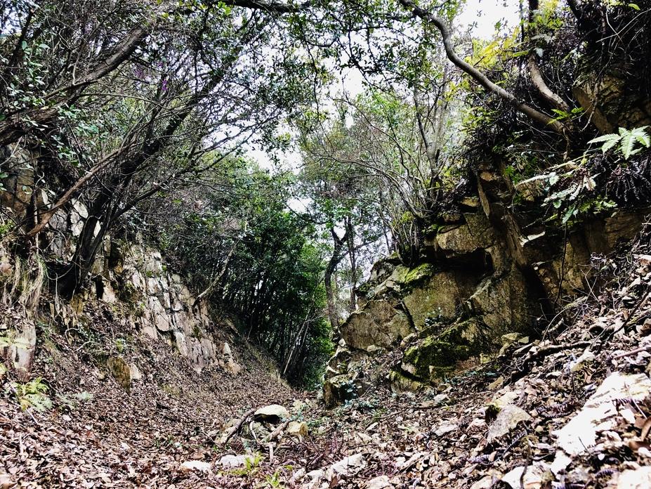 富田松山城