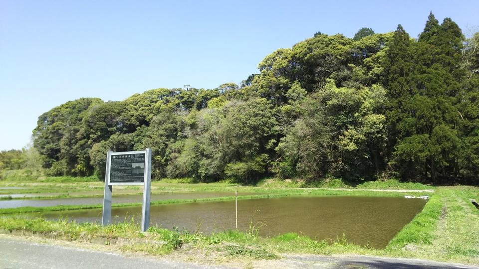 蓬原城