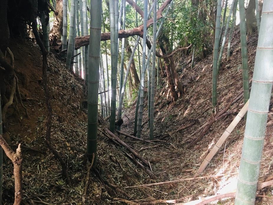 飯櫃城