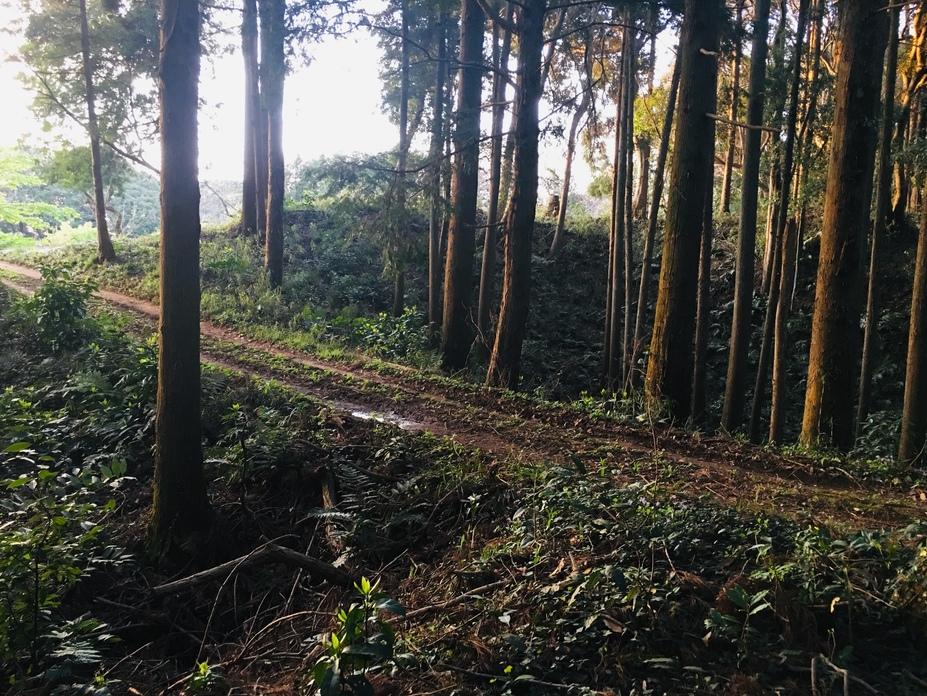 森山城