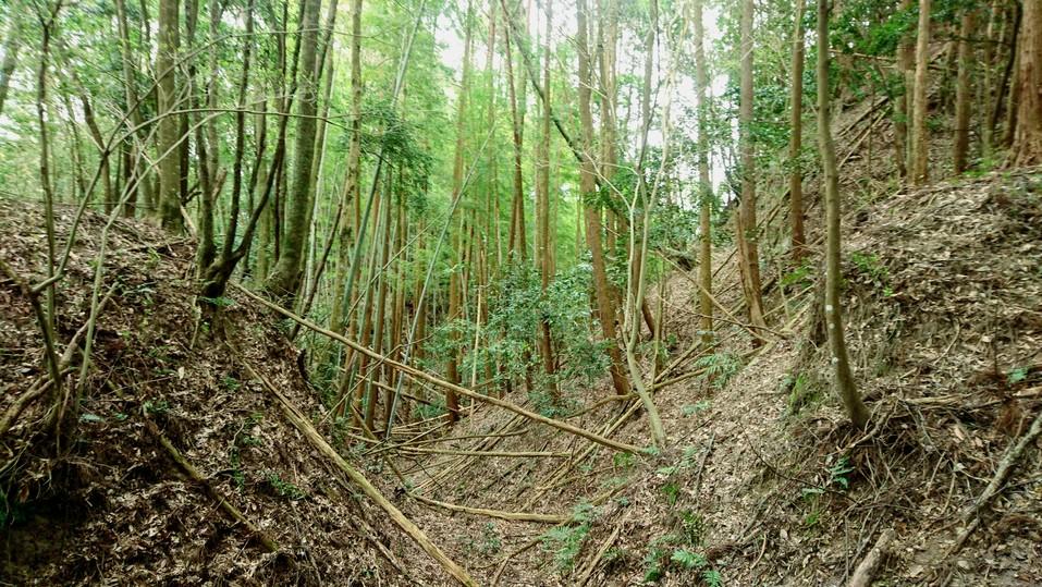 赤池城
