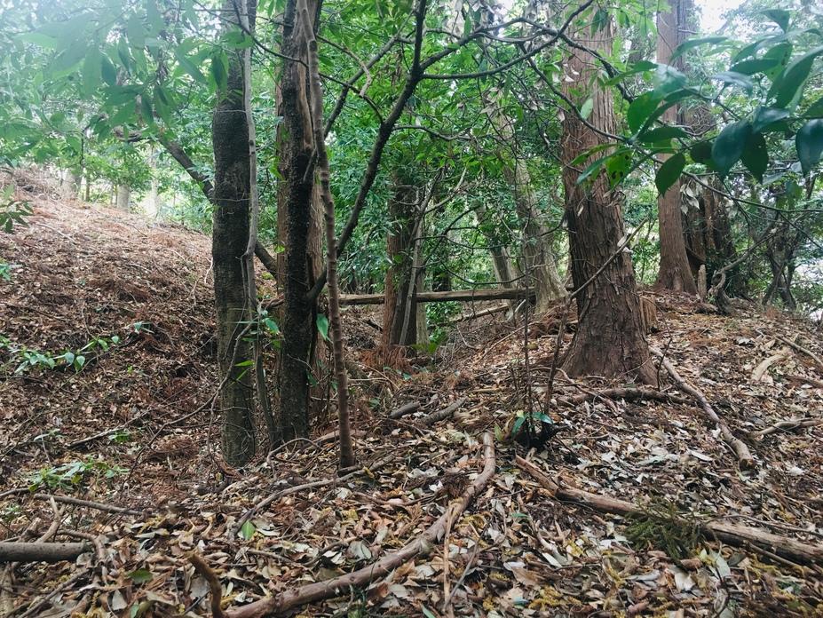 箕輪城