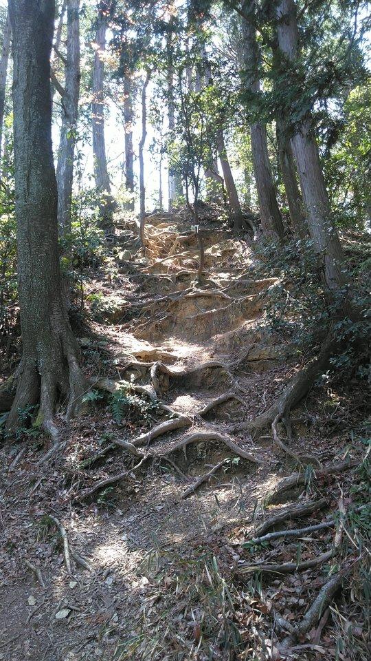 山崎城