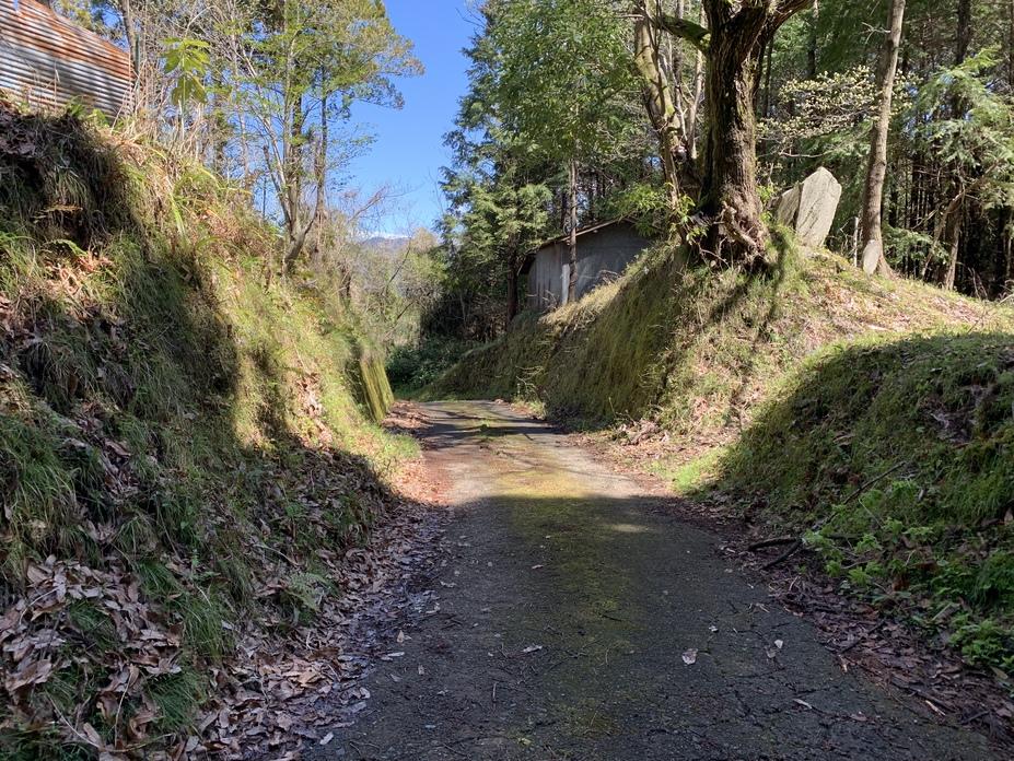 苅野丸山城