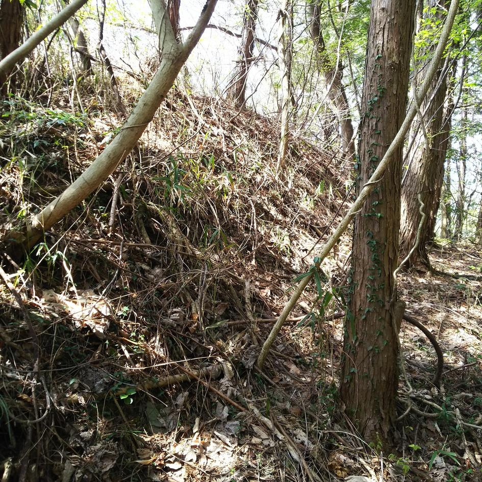 高森城