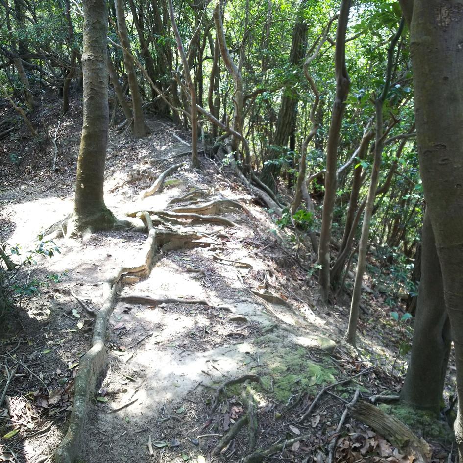 勝山城