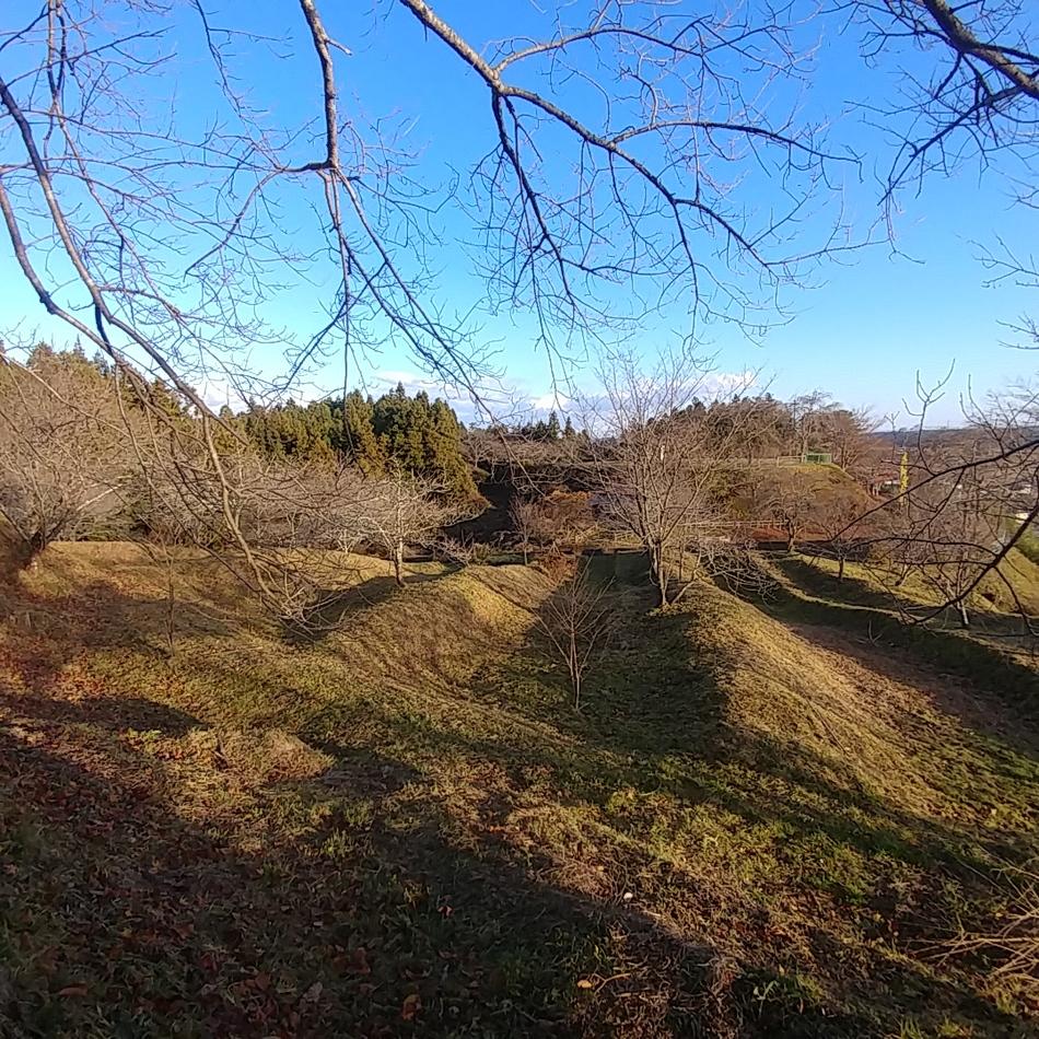 鶴丸城