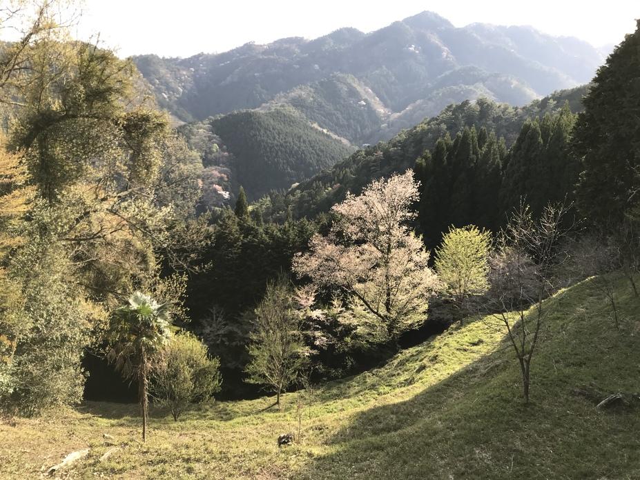 葛下城