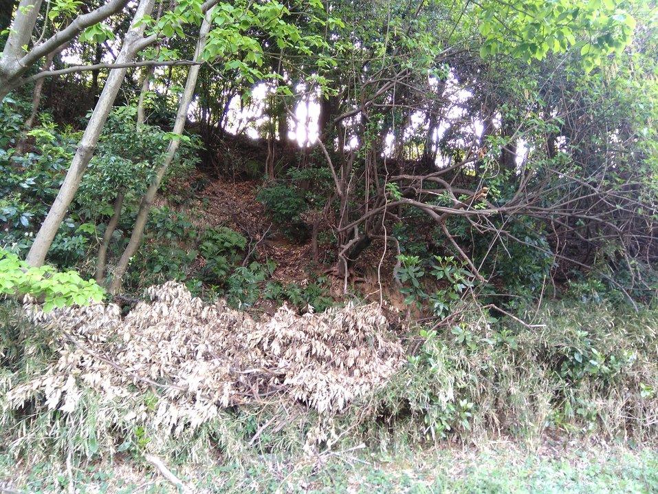 深見城
