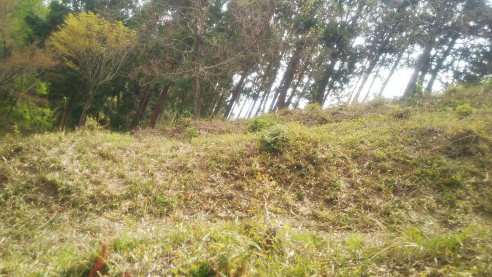 清水山城