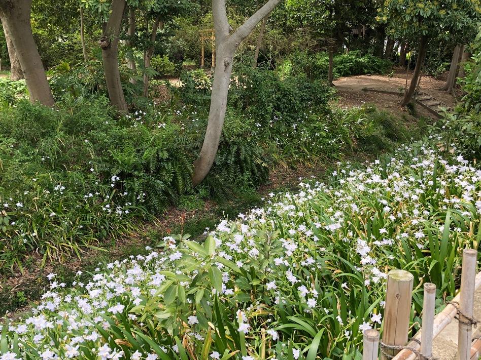 一之江名主屋敷