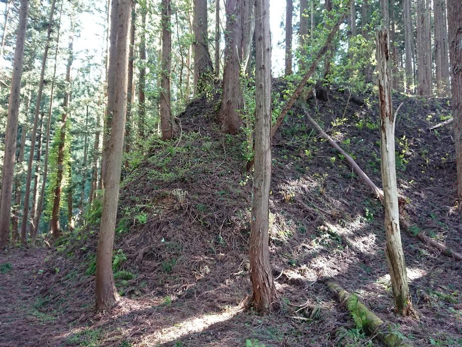 西馬音内城