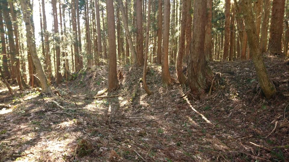 典膳館