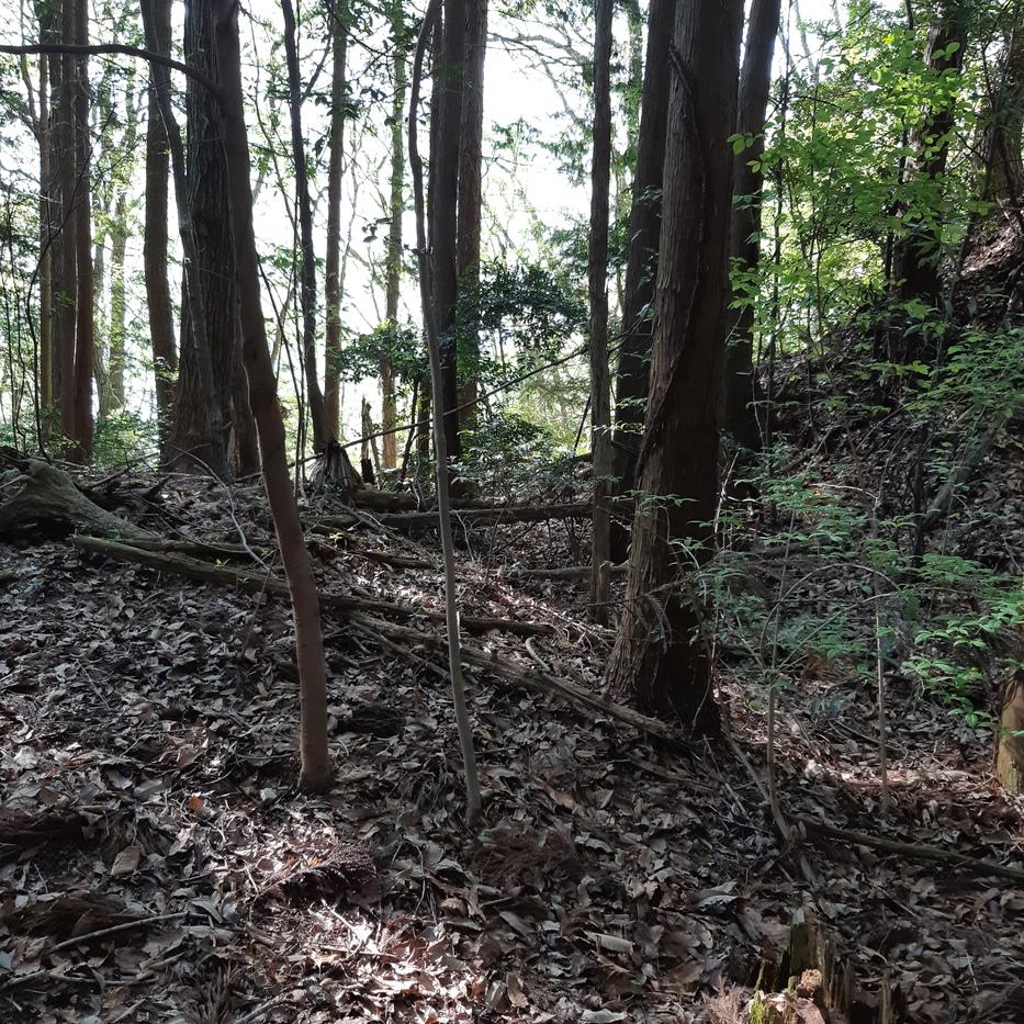 矢倉城